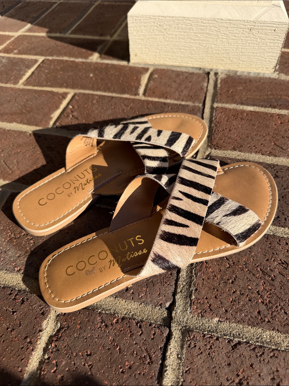 Coconuts by Matisse Zebra Print Slide Sandals - Black, White & Tan